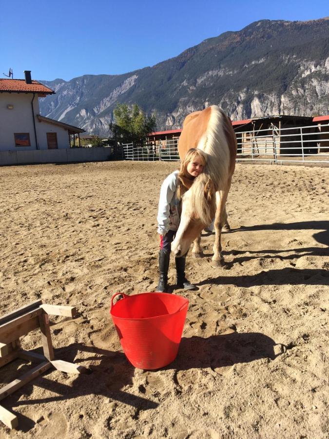 B&B Margit'S Ranch Urlaub Am Pferdehof Silz Luaran gambar