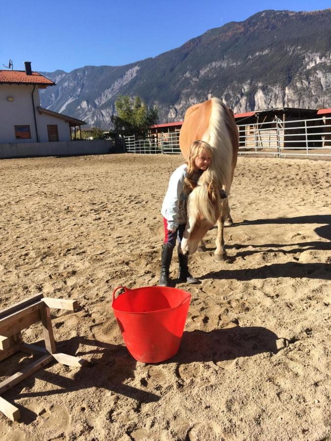 B&B Margit'S Ranch Urlaub Am Pferdehof Silz Luaran gambar